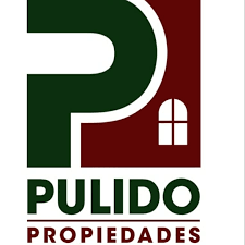 logo pulido