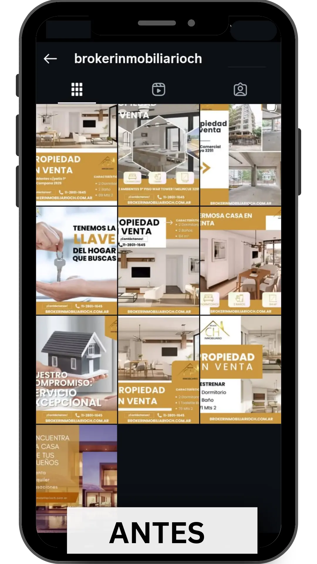 Broker Inmobiliario CH 1