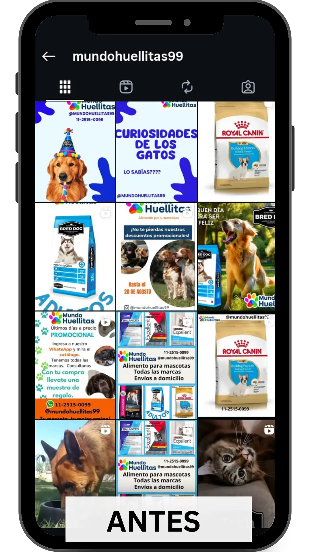 Mundo Huellitas 1